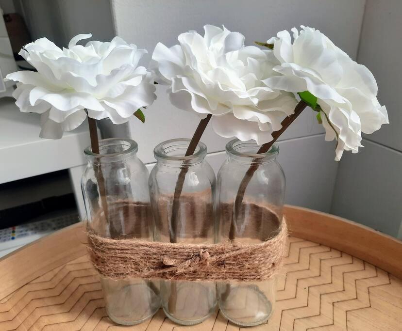 La Palme De Retz Daire Pornic Dış mekan fotoğraf